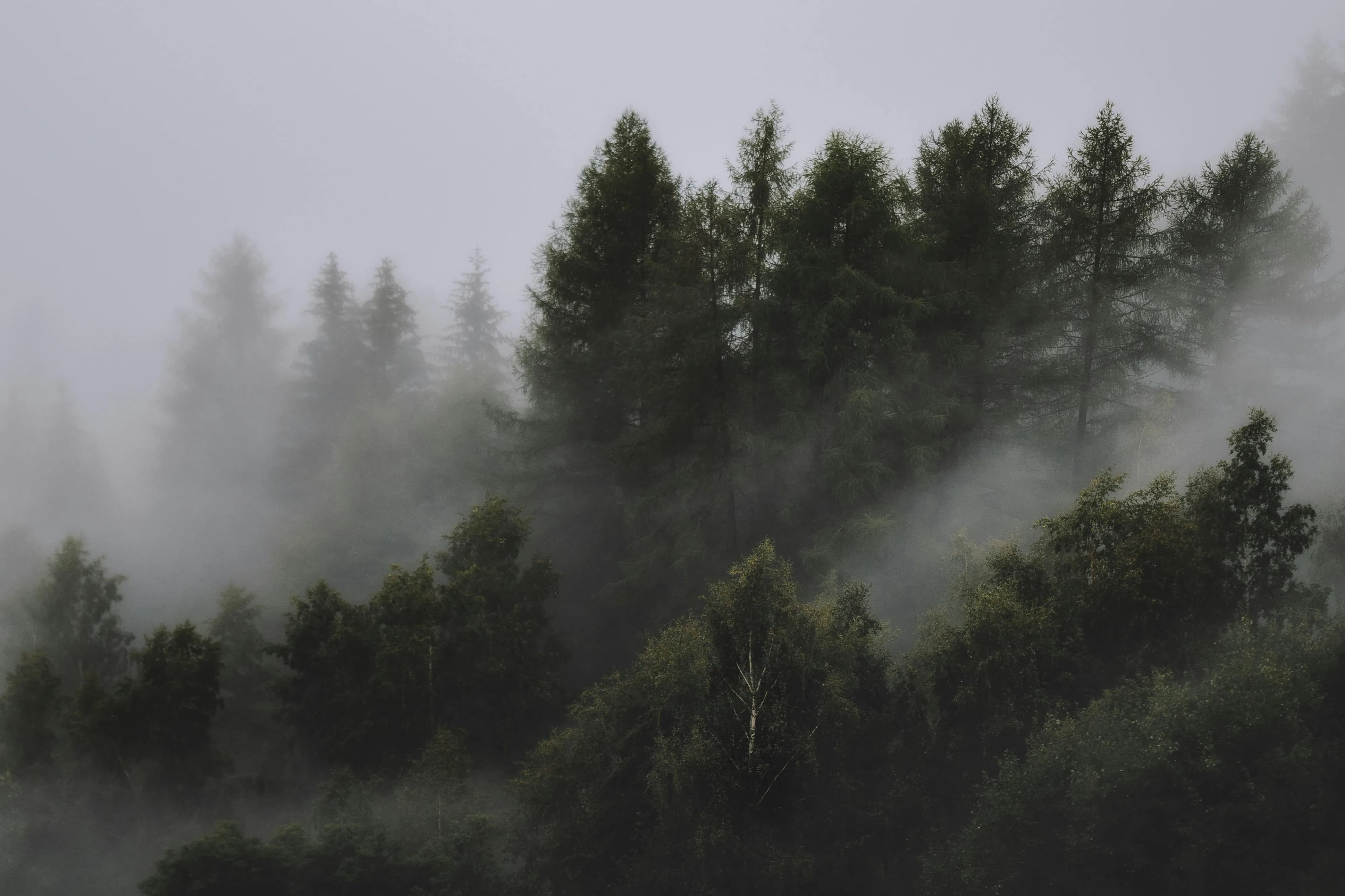 Open landscape as a calm European context image